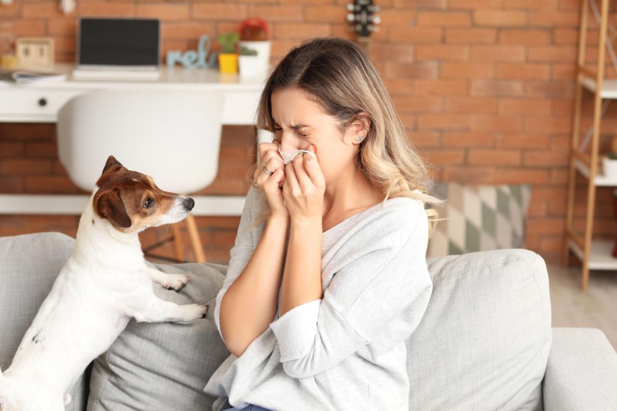 A person blowing into their nose while sitting next to a dog due to having animal allergies.